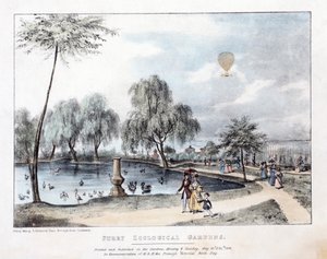 Surry Zoologische Gärten. Veröffentlicht 1836 von English School